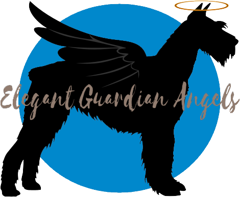 Elegant Guardian Angels